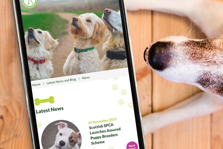 site development and UX design for Edinburgh’s Dogs and Cats